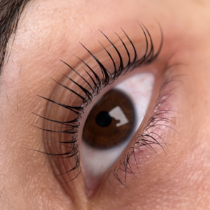 Korean Lash Lift Masterclass *VIP 1-1 training